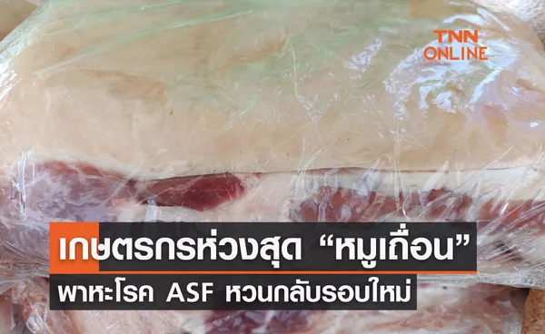 เกษตรกรห่วงสุด “หมูเถื่อน” พาหะโรค ASF หวนกลับรอบใหม่ 