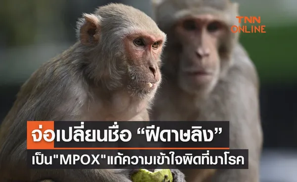 จ่อเปลี่ยนชื่อ “ฝีดาษลิง” เป็น  MPOX แก้ความเข้าใจเกี่ยวกับที่มาโรค