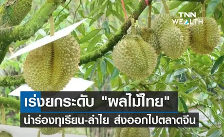 เร่งยกระดับมาตรฐาน ผลไม้ไทย นำร่องทุเรียน-ลำไย ส่งออกไปจีน