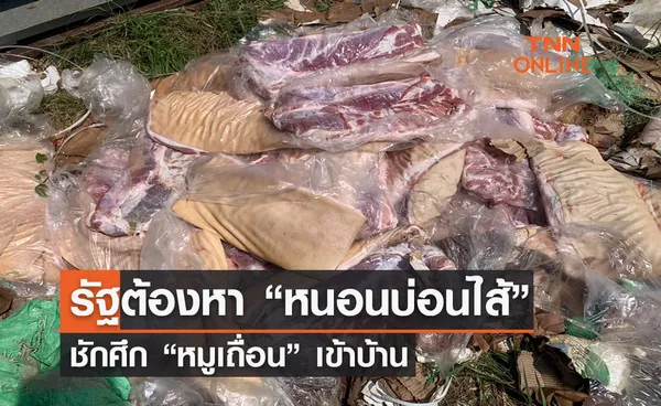 รัฐต้องหา “หนอนบ่อนไส้” ชักศึก “หมูเถื่อน” เข้าบ้าน