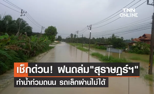 เช็กด่วน! ฝนถล่มสุราษฎร์ฯทำ น้ำท่วมถนน รถเล็กผ่านไม่ได้