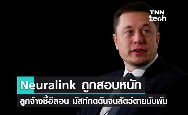 สั่งสอบบริษัท Neuralink หนัก ! พนักงานแฉอีลอน มัสก์กดดันทำสัตว์ตายนับพัน