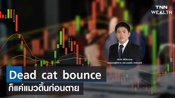 Dead cat bounce ก็แค่แมวดิ้นก่อนตาย I TNN WEALTH 9 ธ.ค. 65