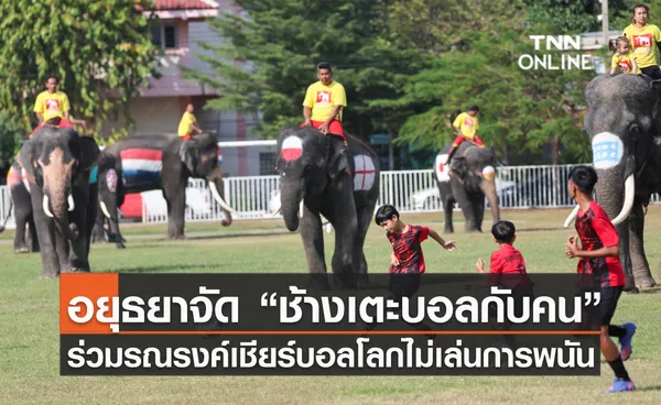 อยุธยาจัด“ช้างเตะบอลกับคน” ร่วมรณรงค์เชียร์บอลโลกไม่เล่นการพนัน