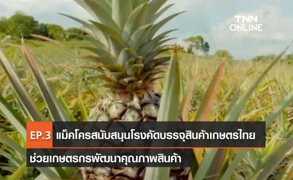 (คลิป) EP.3 แม็คโครสนับสนุนโรงคัดบรรจุสินค้าเกษตรไทย ช่วยเกษตรกรพัฒนาคุณภาพสินค้า 