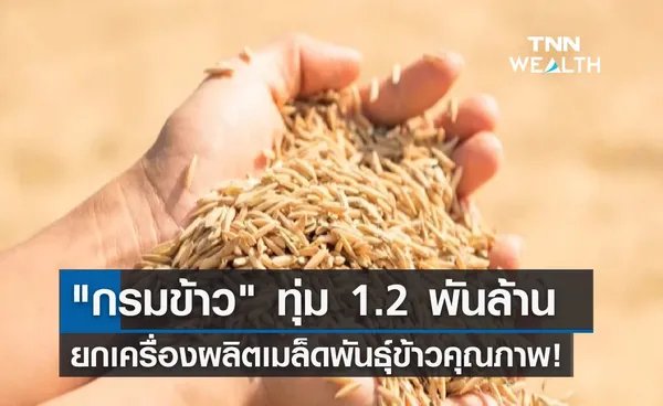 กรมข้าว ทุ่ม 1.2 พันล้าน ยกเครื่องผลิตเมล็ดพันธุ์ข้าวคุณภาพ!