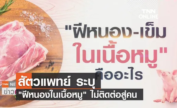 (คลิป) สัตวแพทย์ ระบุ ฝีหนองในเนื้อหมู ไม่ติดต่อสู่คน 