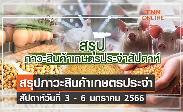 สรุปภาวะสินค้าเกษตรประจำสัปดาห์ วันที่ 3-6 มกราคม 2566