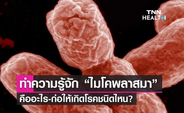 ทำความรู้จัก “เชื้อไมโคพลาสมา” คืออะไร-ก่อให้เกิดโรคชนิดไหน?