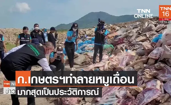 (คลิป) ก.เกษตรฯทำลายหมูเถื่อนมากสุดเป็นประวัติการณ์