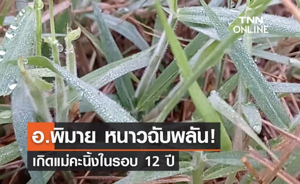 หนาวอีกครั้ง!  อ.พิมาย หนาวฉับพลันเกิดแม่คะนิ้งในรอบ 12 ปี 