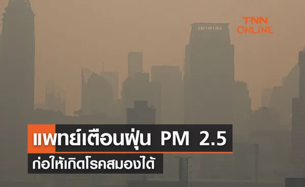 แพทย์เตือนฝุ่น PM 2.5 ก่อให้เกิดโรคสมองได้