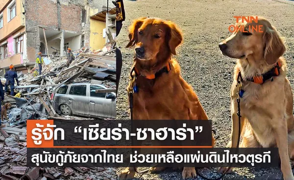 รู้จัก “เซียร่า-ซาฮาร่า” สุนัขกู้ภัยจากไทย ช่วยเหลือแผ่นดินไหวตุรกี