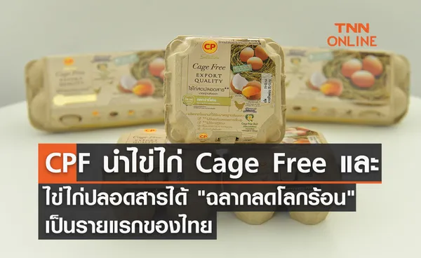 ซีพีเอฟ นำ ไข่ไก่ Cage Free และไข่ไก่ปลอดสาร ได้ ฉลากลดโลกร้อน เป็นรายแรกของไทย