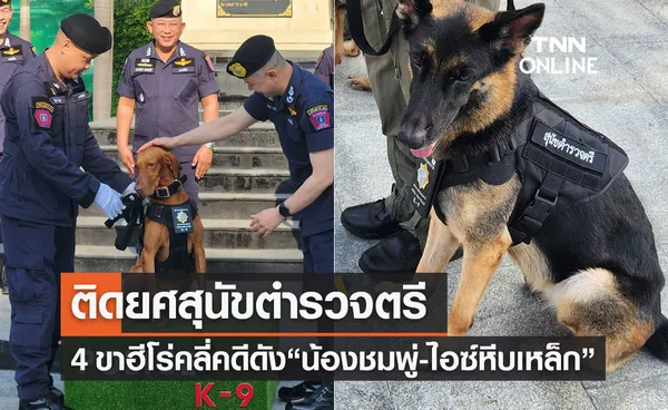 น้องทำดี! ติดยศตำรวจตรี “สุนัข K-9” คลี่คดีดัง“น้องชมพู่-ไอซ์หีบเหล็ก”