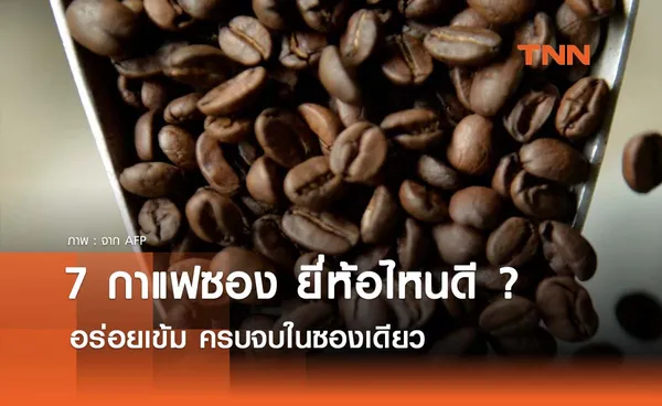 7 กาแฟซองยี่ห้อไหนอร่อยดี ปี 2024 ชงง่าย เข้ม ครบจบในซองเดียว!