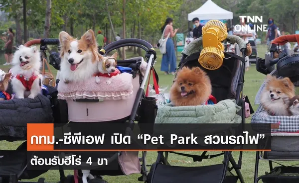 (คลิป) กทม.-ซีพีเอฟ เปิด “Pet Park สวนรถไฟ” ต้อนรับฮีโร่ 4 ขา 