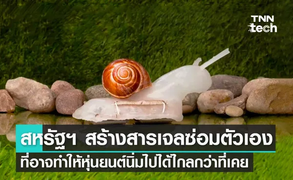 สหรัฐฯ สร้างสารเจลซ่อมตัวเอง ที่อาจทำให้หุ่นยนต์นิ่มไปได้ไกลกว่าที่เคย