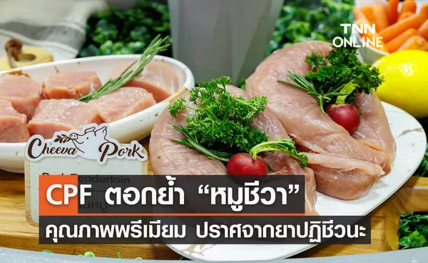 ซีพีเอฟ ตอกย้ำ “หมูชีวา” คุณภาพพรีเมียม ปราศจากยาปฏิชีวนะ 100%