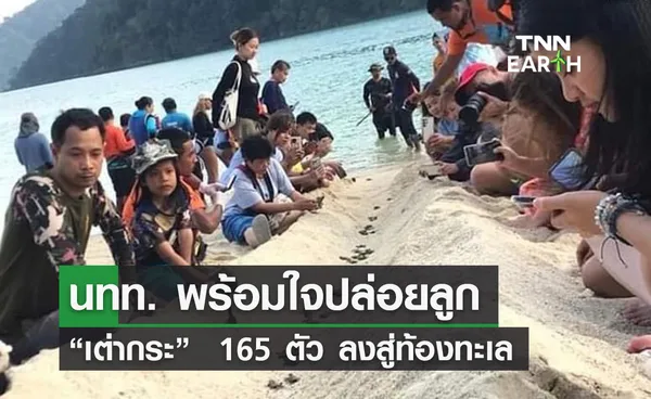 นทท. พร้อมใจปล่อยลูก “เต่ากระ”  165 ตัว ลงสู่ท้องทะเล