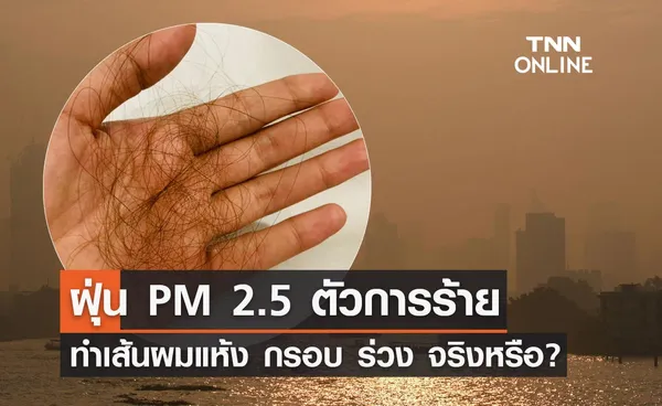 ฝุ่น PM 2.5 ตัวการร้ายทำลายเส้นผมให้แห้ง กรอบ ร่วง จริงหรือ?