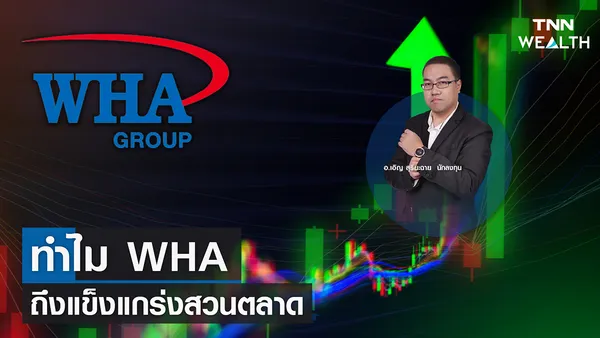 ทำไม WHA ถึงแข็งแกร่งสวนตลาด I TNN WEALTH 17 มี.ค. 66