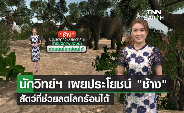 นักวิทย์ฯ เผย “ช้าง” ช่วยลดโลกร้อนได้