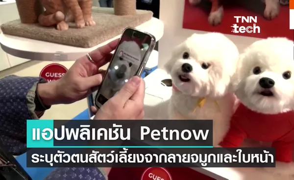 แอปพลิเคชัน Petnow ระบุตัวตนสัตว์เลี้ยงด้วยลายจมูกและใบหน้า