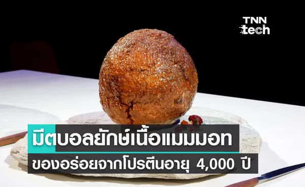 มีตบอลยักษ์เนื้อแมมมอท เนื้อสังเคราะห์จากโปรตีนอายุ 4,000 ปี