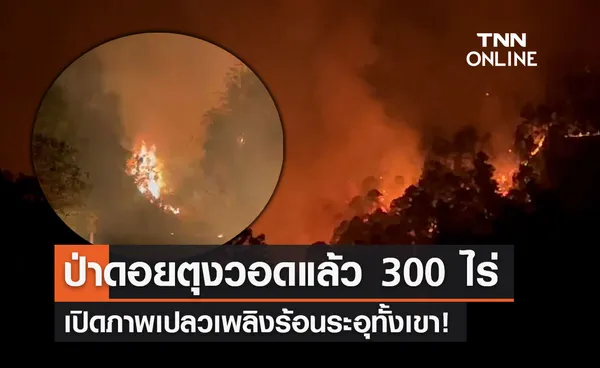 ไฟป่าดอยตุงโหมหนัก เสียหายแล้วกว่า 300 ไร่ สาเหตุเกิดจากอะไร?