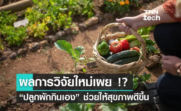 ผลการวิจัยเผย การปลูกผักกินเอง ช่วยให้สุขภาพดีขึ้น !?