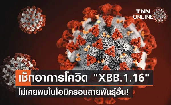 จับตา! โควิด XBB.1.16 มาพร้อมอาการใหม่ ไม่เคยพบในโอมิครอนสายพันธุ์อื่น