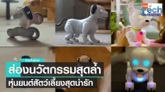 3 หุ่นยนต์สัตว์เลี้ยงสุดไฮเทค ไอเทมแก้เหงาประจำบ้าน | TNN Tech Reports 