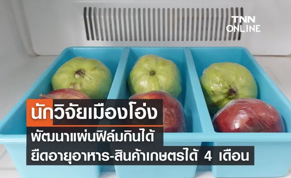 นักวิจัยเมืองโอ่ง พัฒนาแผ่นฟิล์มกินได้ ยืดอายุอาหารนาน 4 เดือน!