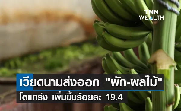 เวียดนามส่งออก ผัก-ผลไม้ โตแกร่ง เพิ่มขึ้นร้อยละ 19.4 