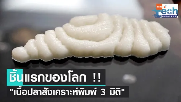 นักวิจัยอิสราเอลทำเนื้อปลาสังเคราะห์พิมพ์ 3 มิติได้สำเร็จ | TNN Tech Reports