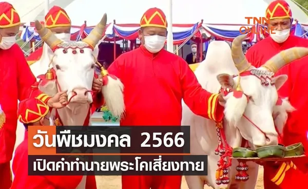 วันพืชมงคล 2566 เปิดคำทำนาย พระโคเสี่ยงทาย ปีนี้กินหญ้า-เหล้า