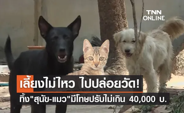 ปล่อยสุนัข-แมวทิ้งวัด! ผิดกฎหมาย ระวางโทษปรับไม่เกิน 40,000 บาท