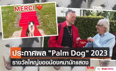 อุ่นเครื่องก่อนปาล์มทองประกาศผลรางวัล Palm Dog 2023 (มีคลิป) 