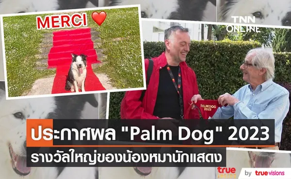 อุ่นเครื่องก่อนปาล์มทองประกาศผลรางวัล Palm Dog 2023 (มีคลิป) 