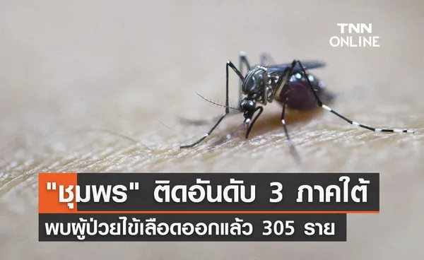 ไข้เลือดออกระบาด! ชุมพรป่วยแล้ว 305 รายติดอันดับ 3 ของภาคใต้