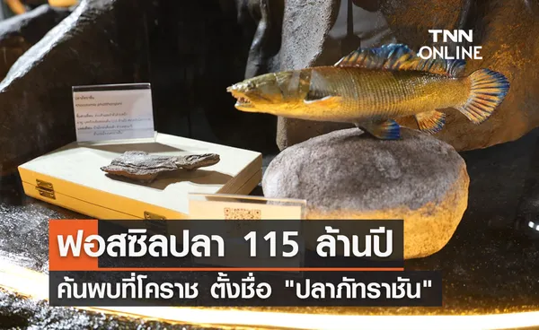 ฮือฮา! โคราชค้นพบ ฟอสซิลปลาพันธุ์ใหม่ของโลก อายุ 115 ล้านปี