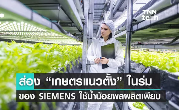  ส่อง “เกษตรแนวตั้ง” ในร่มของ SIEMENS ปลูกผักใช้น้ำน้อยผลผลิตเพียบ