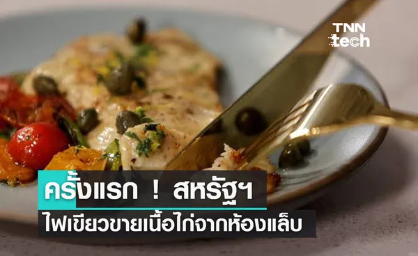 ครั้งแรก ! สหรัฐฯ ไฟเขียวขายเนื้อไก่จากห้องแล็บ 