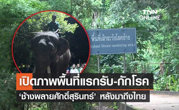 ‘พลายศักดิ์สุรินทร์ ’ เปิดภาพพื้นที่แรกรับกักโรคที่ศูนย์อนุรักษ์ช้างไทย