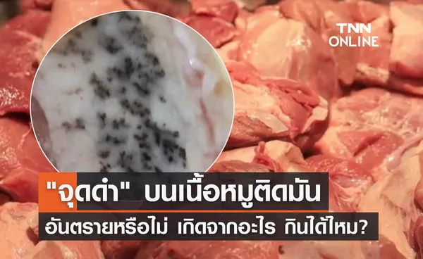 อาจารย์เจษฎ์ ไขข้อข้องใจ จุดดำบนเนื้อหมูติดมัน เกิดจากอะไร กินได้ไหม? 