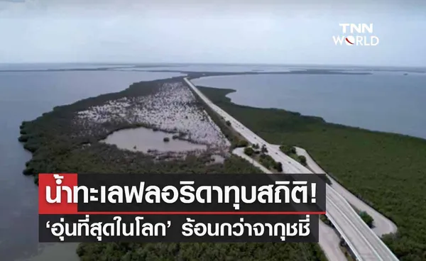 น้ำทะเลฟลอริดาทุบสถิติ! อุณหภูมิพื้นผิว ‘อุ่นที่สุดในโลก’ พุ่งแตะ 38.3 องศาฯ