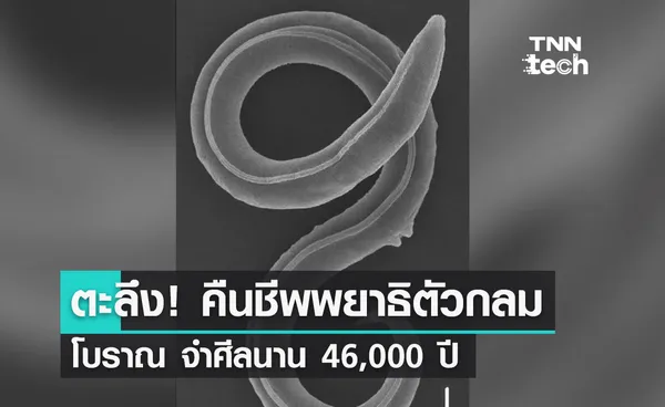 ตะลึง! คืนชีพพยาธิตัวกลมโบราณ จำศีลนาน 46,000 ปี