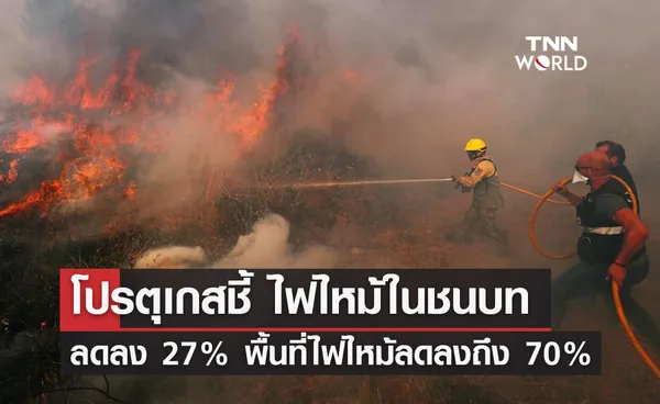 โปรตุเกสชี้ ไฟไหม้ในชนบท  ลดลง 27% พื้นที่ไฟไหม้ลดลงถึง 70%