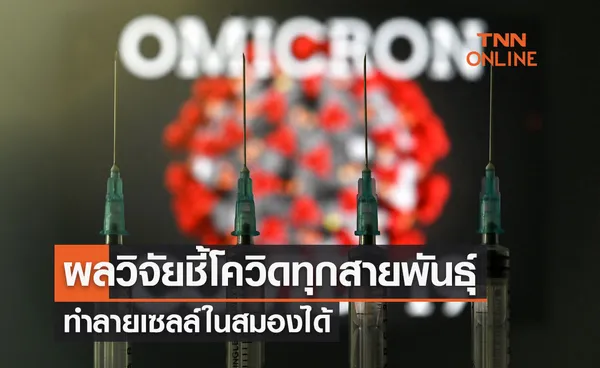 ผลวิจัยชี้โควิด-19 ทุกสายพันธุ์ ตั้งแต่อดีตจนถึงปัจจุบันทำลายเซลล์ในสมองได้